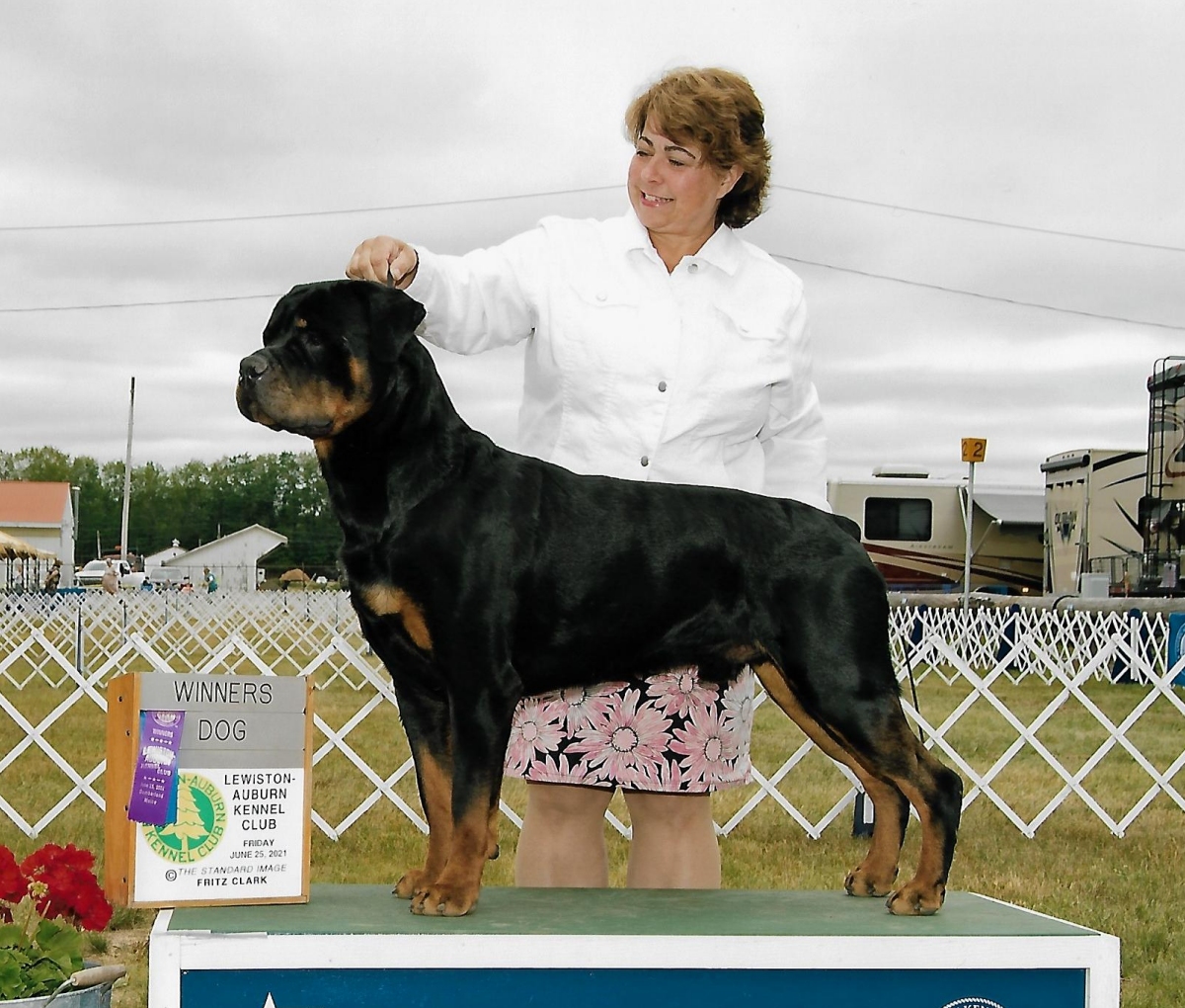 Brandy Hills Rockin Rottweilers Rottweiler Breeders located in